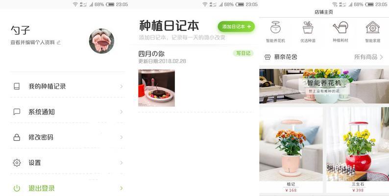 仙人掌片如何用种子种植？种植过程中的注意事项是什么？