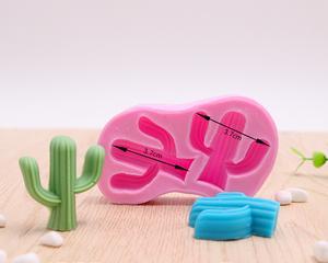 仙人掌盆栽磨具使用方法是什么？如何正确使用？