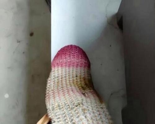 仙人掌冬季浇水不干的解决方法？