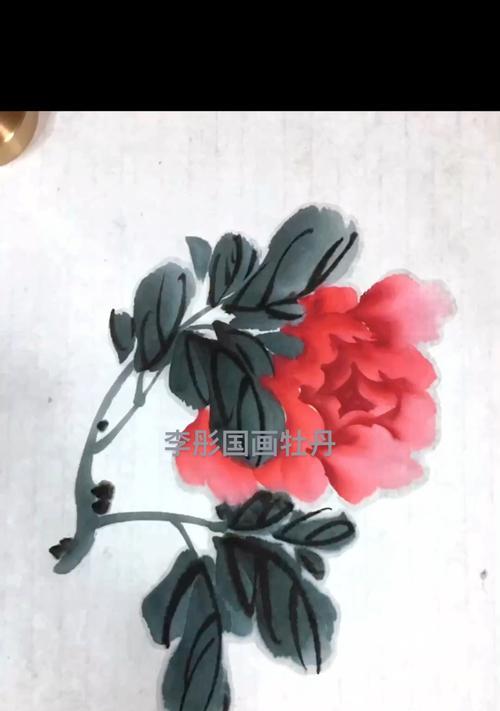 牡丹花苞多叶子少该如何处理？