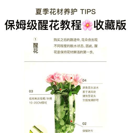 晚期玫瑰花的养护技巧有哪些？