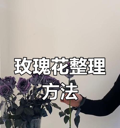 晚期玫瑰花的养护技巧有哪些？