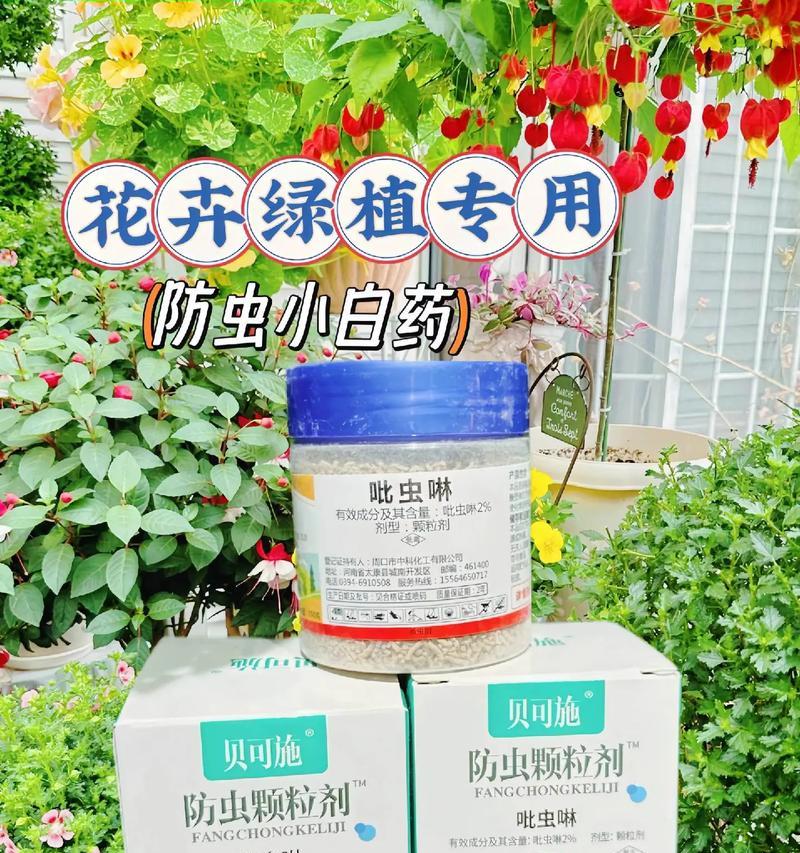 玫瑰花长虫子了怎么办？哪种药剂最有效？