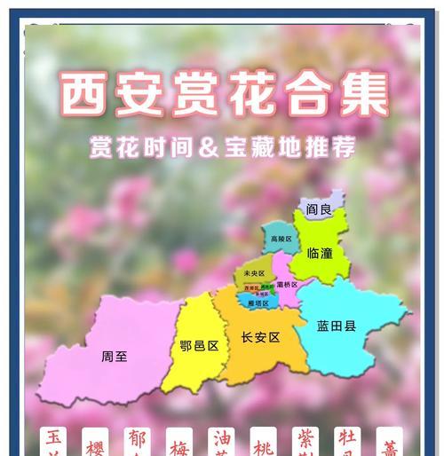 牡丹花修剪的最佳时机是什么时候？