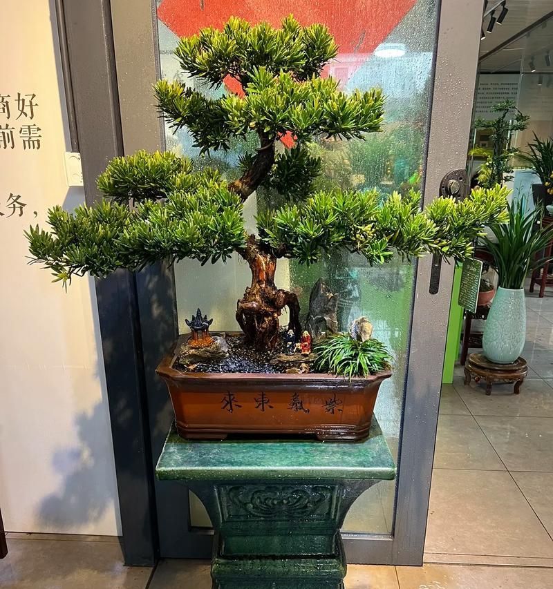 相思梅代表了哪种情感？
