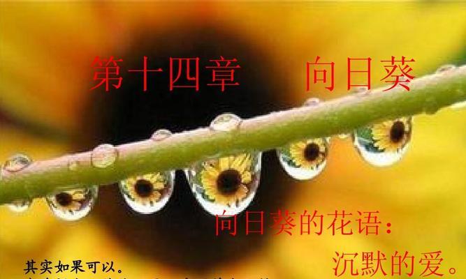 向日葵霸气花语如何影响人们的选择？