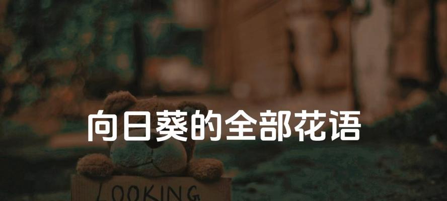 向日葵霸气花语如何影响人们的选择？