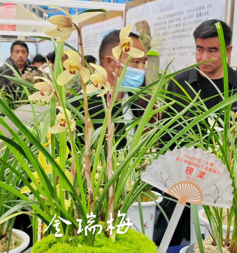 鹅头兰花的花语是什么呢？鹅头兰在花语中代表什么？