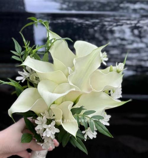 哪些小众花的花语既常见又浪漫？如何挑选？