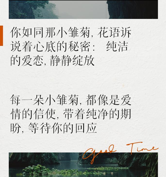 雏菊的花语与弹琴有何关联？含义是什么？