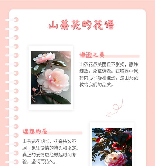 优雅浪漫的花语是什么意思？哪些花语表达了优雅浪漫？