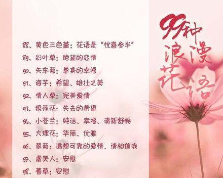 优雅浪漫的花语是什么意思？哪些花语表达了优雅浪漫？