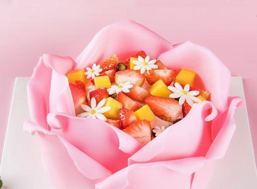 彩虹奶油的花语与寓意是什么？它有什么特别含义？