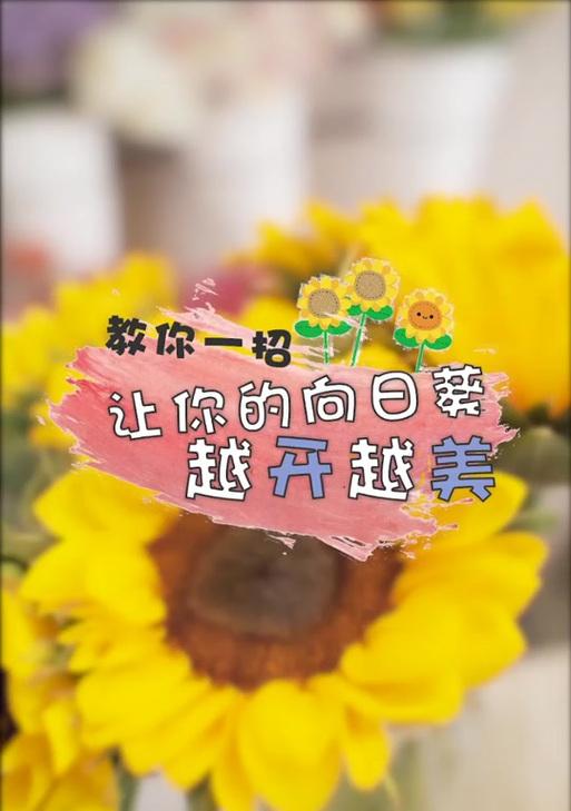 彩虹奶油的花语与寓意是什么？它有什么特别含义？