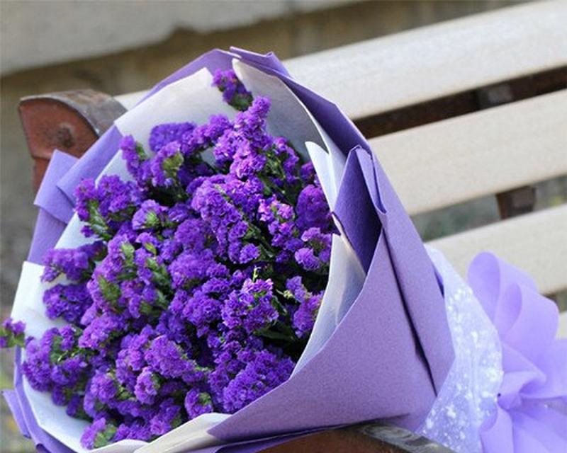 勿忘我的花语代表什么？如何用勿忘我表达情感？