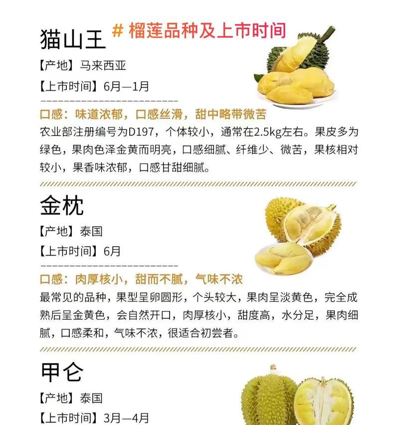 榴莲的花语有哪些独特之处？