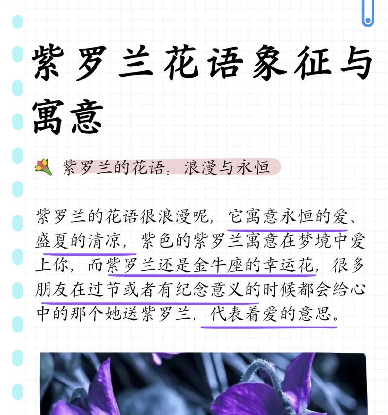 紫罗兰盛开的花语是什么？紫罗兰在花语中的象征意义是什么？