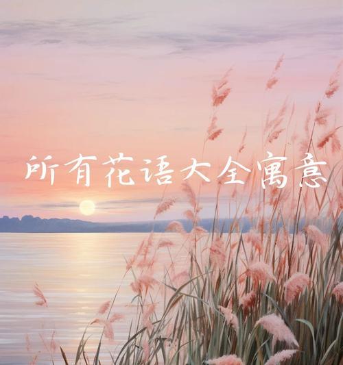 向日葵的花语是什么？它代表了什么？