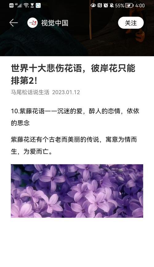 紫藤花的花语是什么？它象征着什么情感？