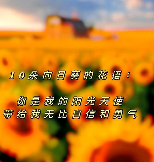 向日葵花语送给小女孩有何寓意？