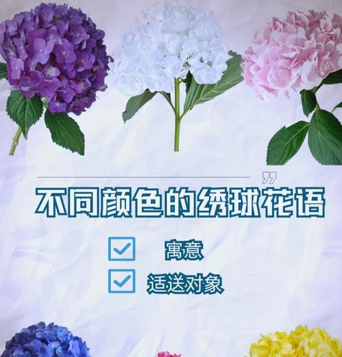 绣球花花语是什么？这种花语传递了怎样的信息？