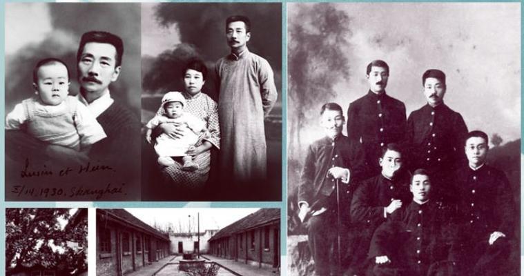 鲁迅中国花语的含义是什么？它代表了什么？