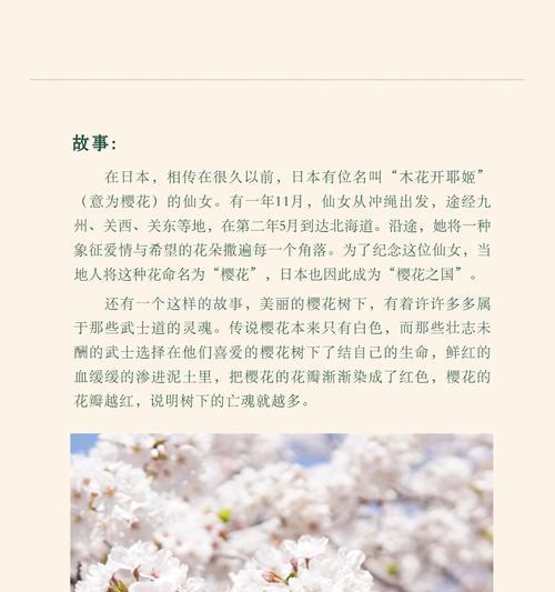 樱花的花语有哪些特别含义？