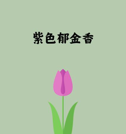 紫郁金香玫瑰的花语有何深意？