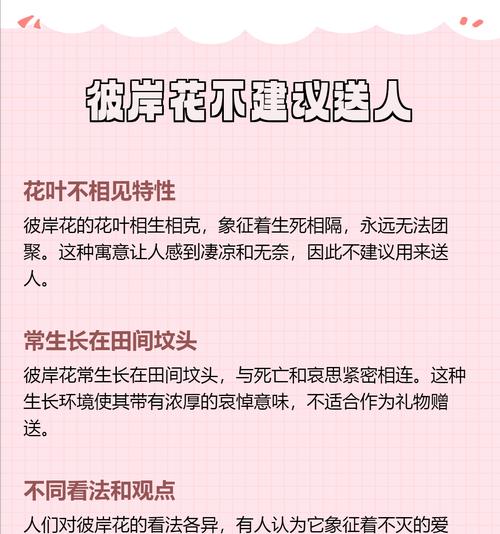 彼岸花是什么解释的花语？它在传说中承载了哪些意义？