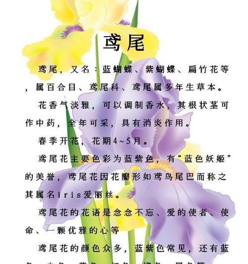 花语和朋友有关的花是什么花？荻花和芦苇花的花语分别是什么？
