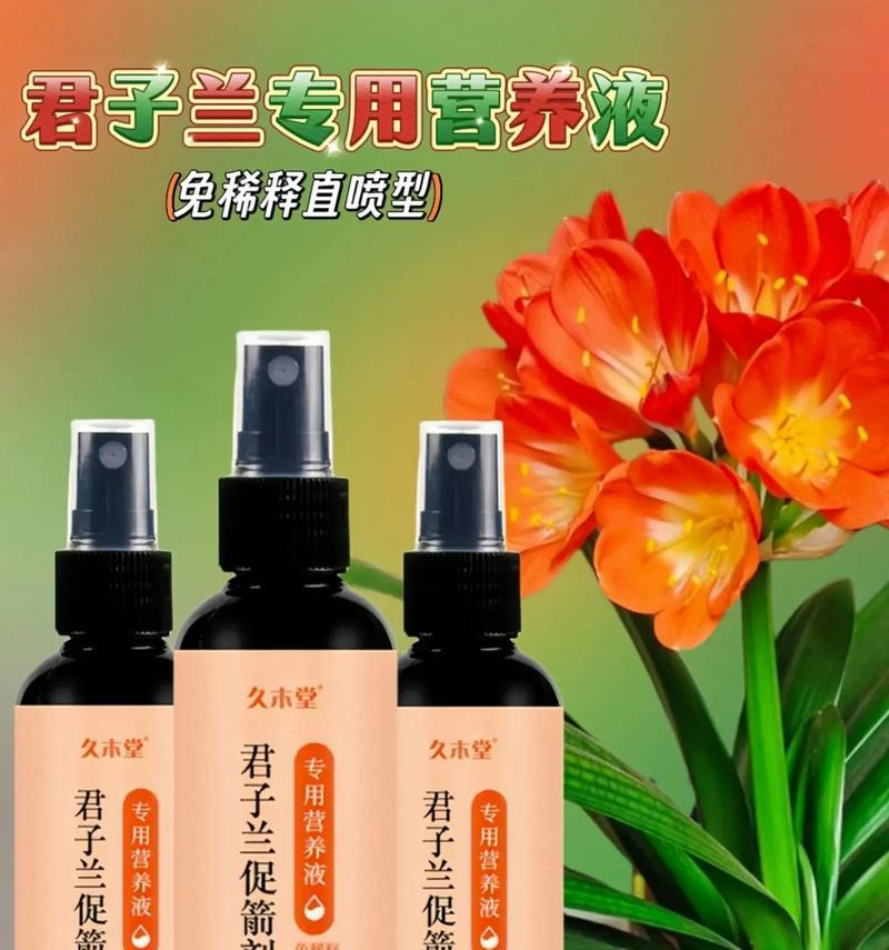 君子兰小苗多久能开花？