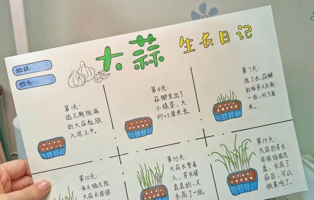 仙人掌自家果园怎么种？千叶仙人掌扦插技巧是什么？