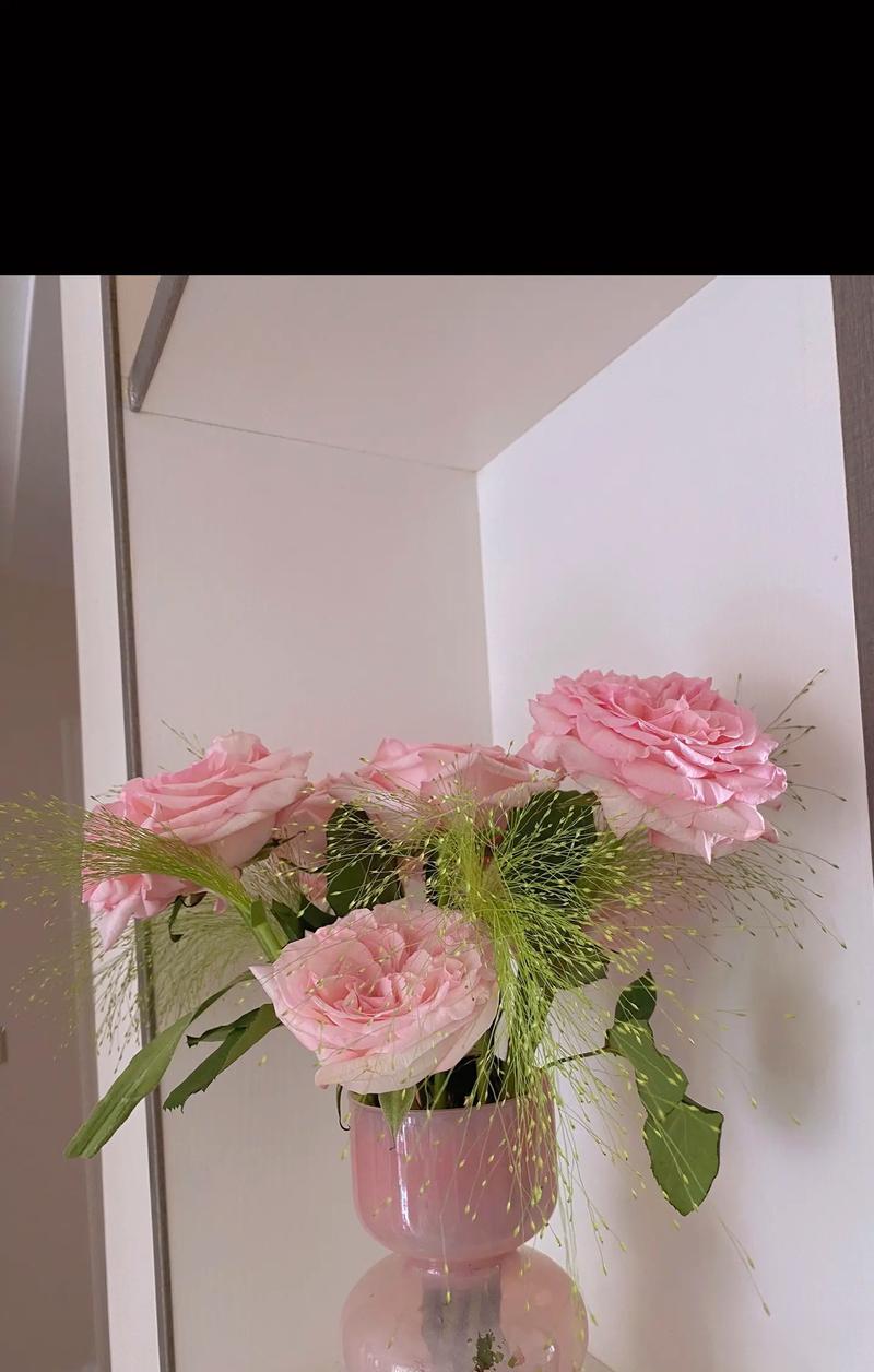 鲜玫瑰花该怎么插花瓶？有哪些保鲜技巧？