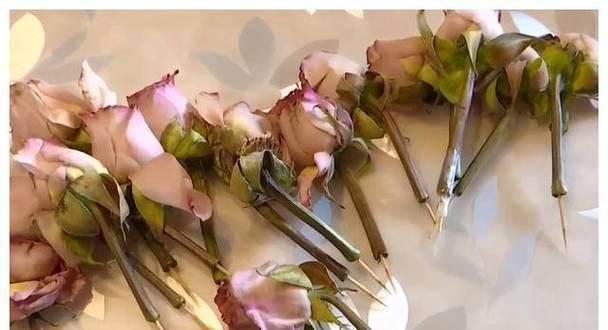 玫瑰花蔫了的处理方法是什么？