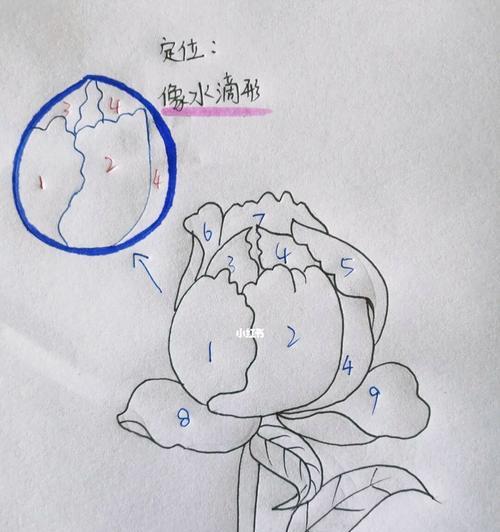 牡丹花苞出现黑点的处理方法有哪些？