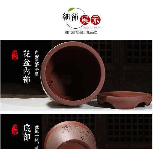 建兰君子兰的最佳扦插方法是什么？