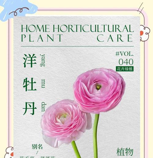 土里种植牡丹花的养护和管理技巧是什么？