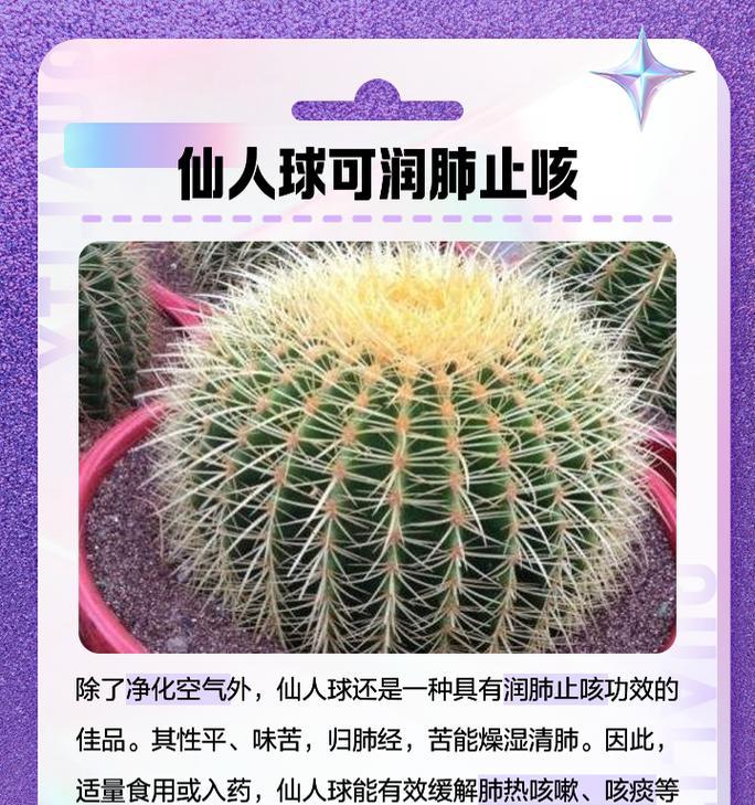 冬季仙人球烂叶的原因及预防措施是什么？