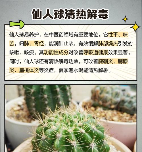 黄花星王仙人球的养殖方法是什么？