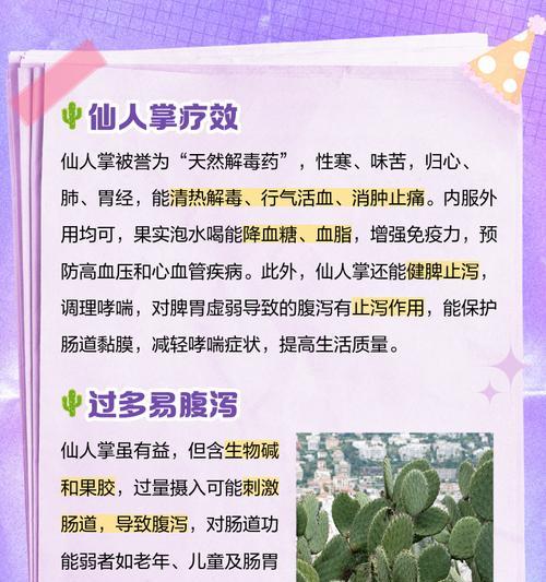 仙人掌养护需要注意什么？如何解决常见问题？