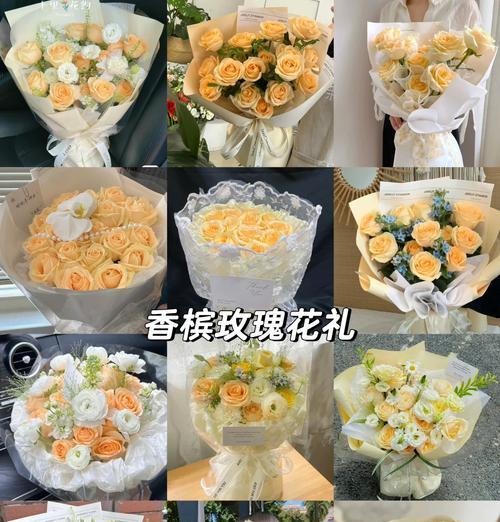 香槟玫瑰花的基地养护技巧有哪些？