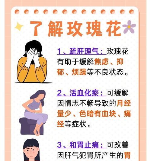 种植玫瑰花有哪些好处？如何正确养护玫瑰花？