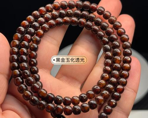 黑金玉仙人球养殖指南？有哪些特别的注意事项？