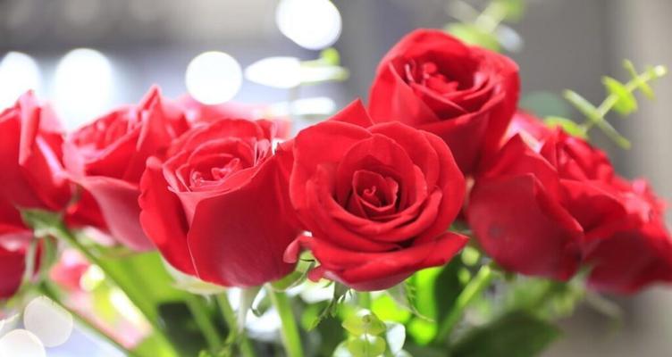 粉色玫瑰花代表什么含义？36朵粉色玫瑰花有何特殊意义？