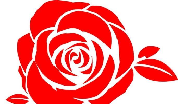 如何剪辑满屏玫瑰花视频？