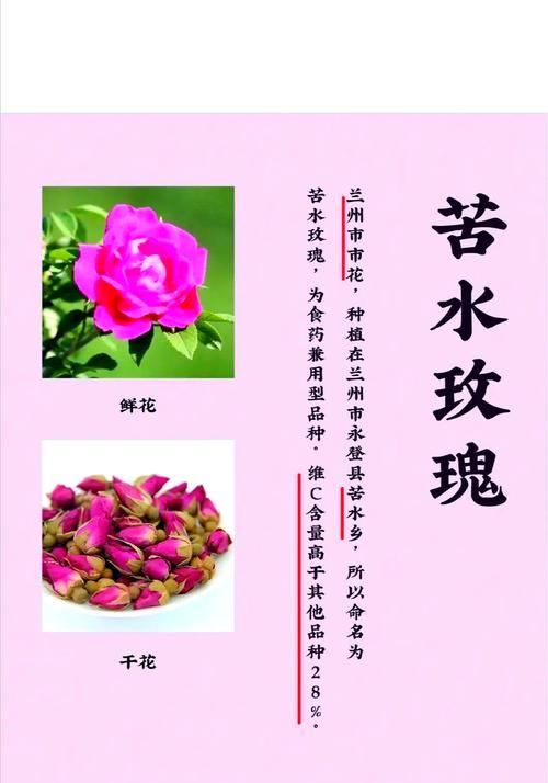 玫瑰花种植的营养土选择是什么？