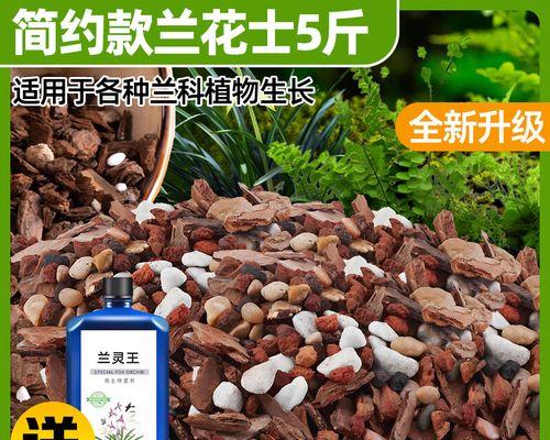 君子兰憋芽子多的处理方法是什么？