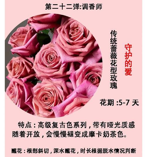 整扎玫瑰花的养护秘诀是什么？怎样延长花期？