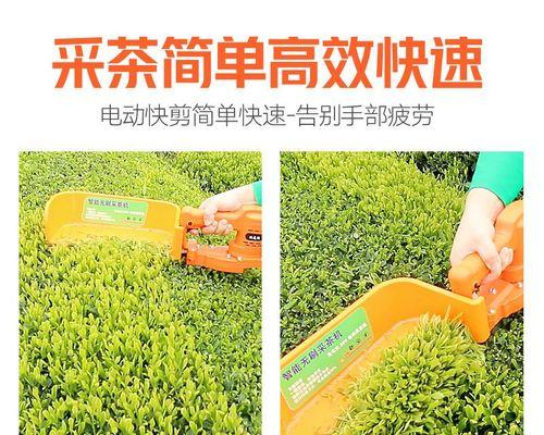 玫瑰花修剪机器如何使用？图解指导修剪机器的操作步骤？