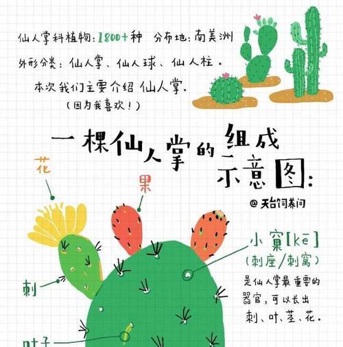 袋子种植仙人掌需要注意什么？